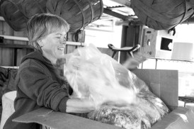 Christine Lopez havest 2014-3092