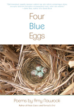 Four_Blue_eggs-store