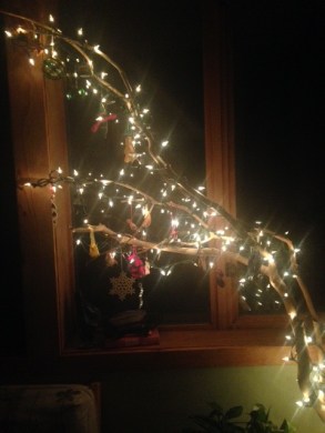 christmas branch at night