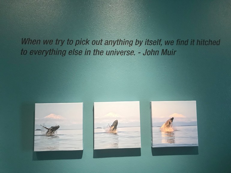 55F6B182-542E-4038-ACE2-8C3A2BE89D7F