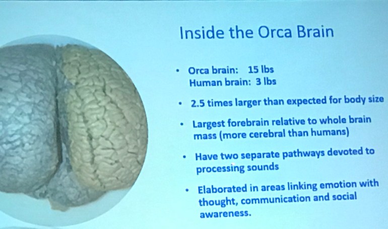 A91DC15D-1720-48C8-B58B-757933F0EF86